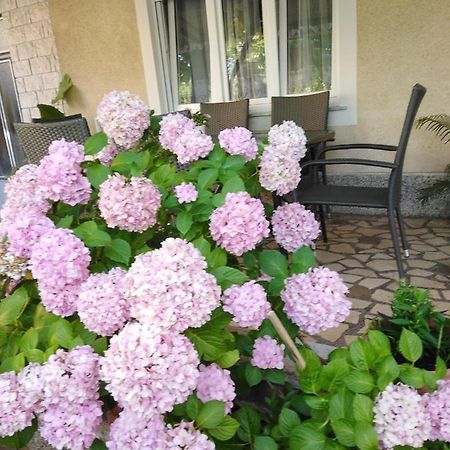 Apartman Paulina Apartment Селце Екстериор снимка