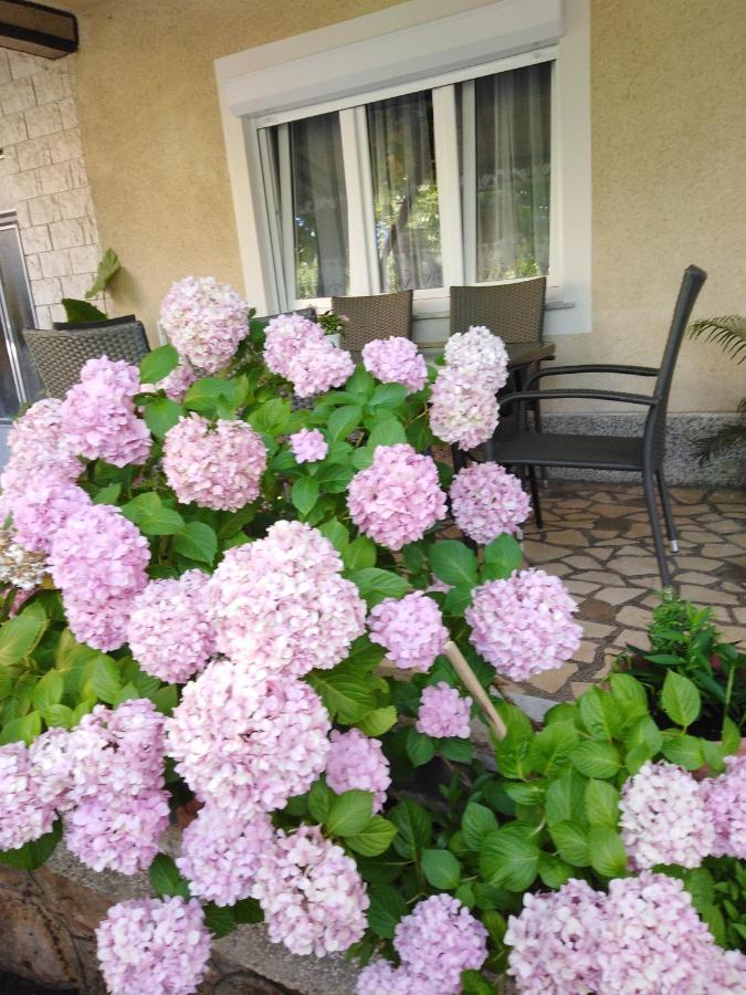 Apartman Paulina Apartment Селце Екстериор снимка